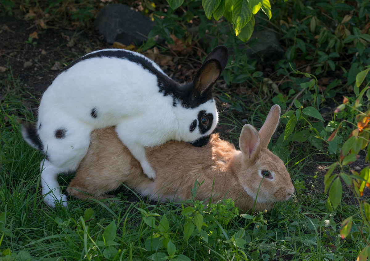 solutions pour ne pas éjaculer de manière trop précoce